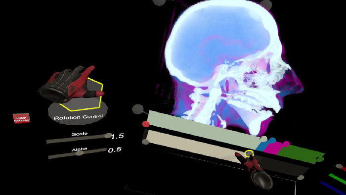 Example Scene of the Immersive Direct Volume Renderer