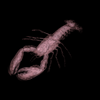 lobster1_thumb.png