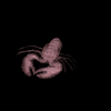 lobster2_thumb.png