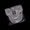 skull1_thumb.png