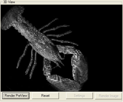 volume rendered lobster