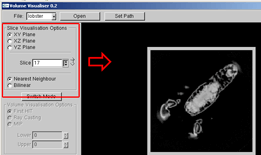 Active Options in Slicing mode