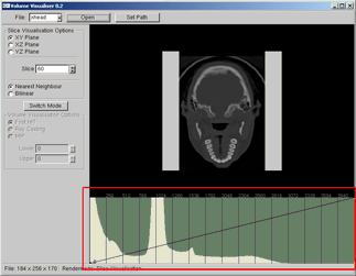 The Histogram in initial state.