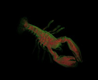 Screenshot8