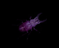 Screenshot10