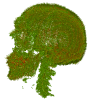 Glyph Rendering Example