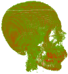Glyph Rendering Example