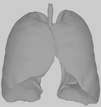 uniformly smoothed mesh