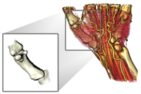 Image for Illustrative Visualization for Medicine and Science