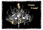 front: The cover images show a 512x512x999 CT-scan of a Christmas tree displayed with various volume-rendering techniques. Two-level volume rendering: x-ray simulation with surface display.
The image border decoration shows a curved-planar reformation (a technique for vessel-investigation) of the tree branches.