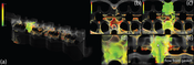 Figure4: Turbulent region behind cooling jacket gasket