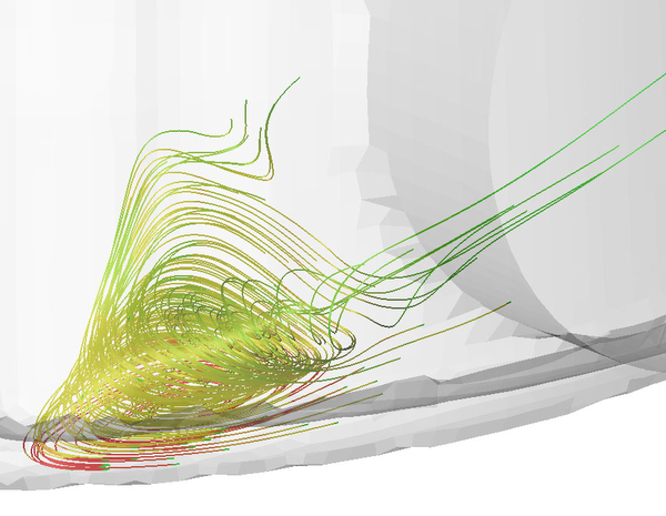 image01: Visualization with help of integral lines selected by a recirculation criterion. The color represents temperature.