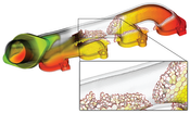 image: This exhaust manifold data set is defined on a polyhedral grid. The zoom-in shows the underlying mesh structure