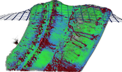 Teaser: The hippocampus in a mouse brain imaged using ultramicroscopy