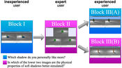 Image: The block design of our study.