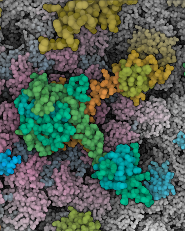 Dynamic Color Mapping Chameleon Dynamic Color Mapping for Multi-Scale Structural Biology ...