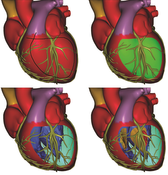 image: Occlusion-aware generation of a cutaway illustration.