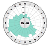 Daily patterns visualized in a 24-hours radial chart. 