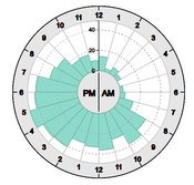 teaser: Daily patterns visualized in a 24-hours radial chart.
