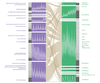 Dynamic BicFlows with nested time series visualization per cluster per set.