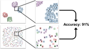 teaser: In both scatterplots shown here, the percentage of images with correctly predicted class labels (visualized as border color) is over 90%. We found that users can estimate these accuracies fairly well. Image complexity impacts overall performance, but the layout has very little effect on users’ estimations.