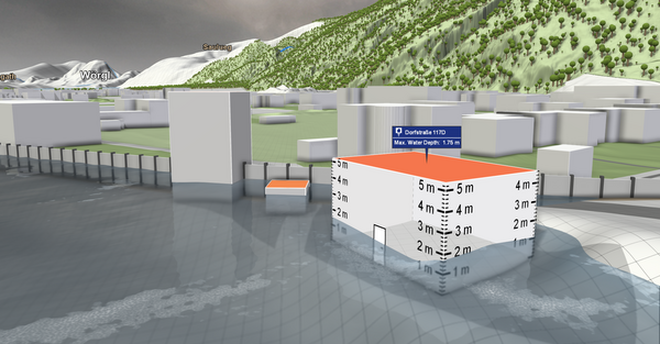 detail: Real-time visualization result of our method for decision support in flood management. Close-up of flood simulation results at 1 m resolution.