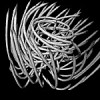 [sample image]