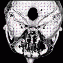 [Fig. 7]