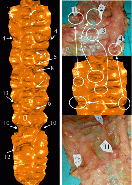 [Fig. 12]