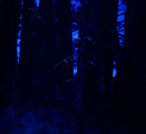 teaser