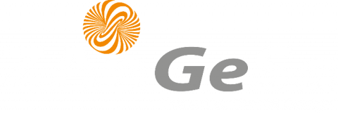 Zangesa Logo