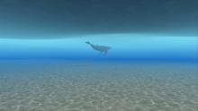 OceanStory