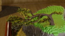 Closeup view of the bonsai tree