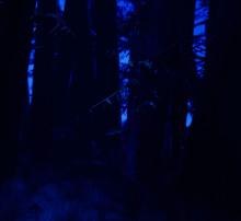 teaser
