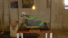 A rendering of a bonsai tree in a terrarium on a lego mountain