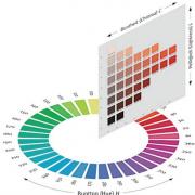 Color Ordering System