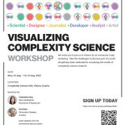 Visualizing Complexity Science Workshop 2025