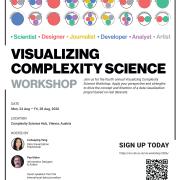 complexity science workshop poster