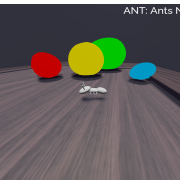 ANT: Ants never tremble
