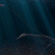 Frame of animation movie; whale underwater, girl hanging on by a rope