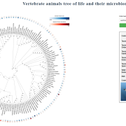 Animals Tree of Life (Second Honorable Mention) 