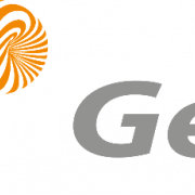 Zangesa Logo