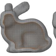 bunny-insides