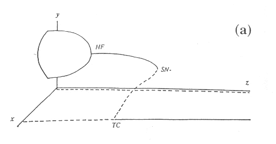 [bifurcation diagram for  
the value E1 in the space (x,y,z)]